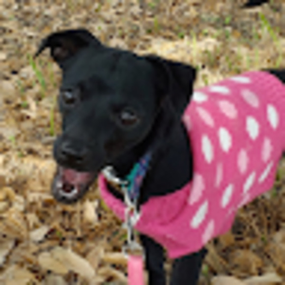 Meet your Posher, Ana - Picture 1 of 1